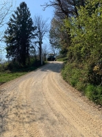 Z1